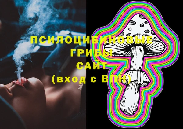 эйфоретик Абинск