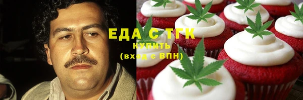 хмурый Абаза