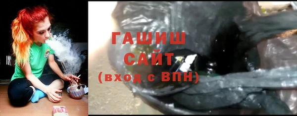 хмурый Абаза