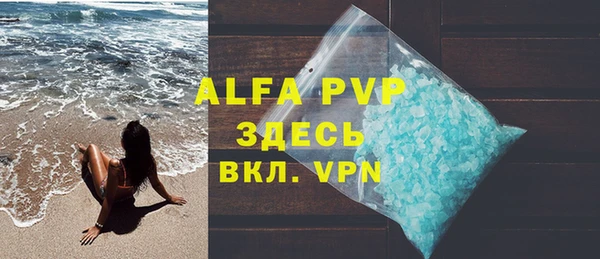 хмурый Абаза