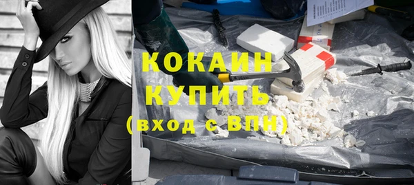 хмурый Абаза
