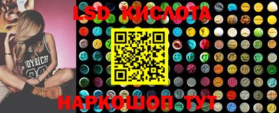 стафф Заводоуковск