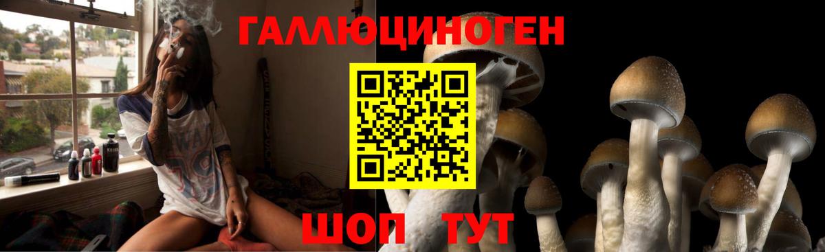 Псилоцибиновые грибы Psilocybe  Галлюциногенные грибы Magic Shrooms  Вход с VPN  Златоуст 